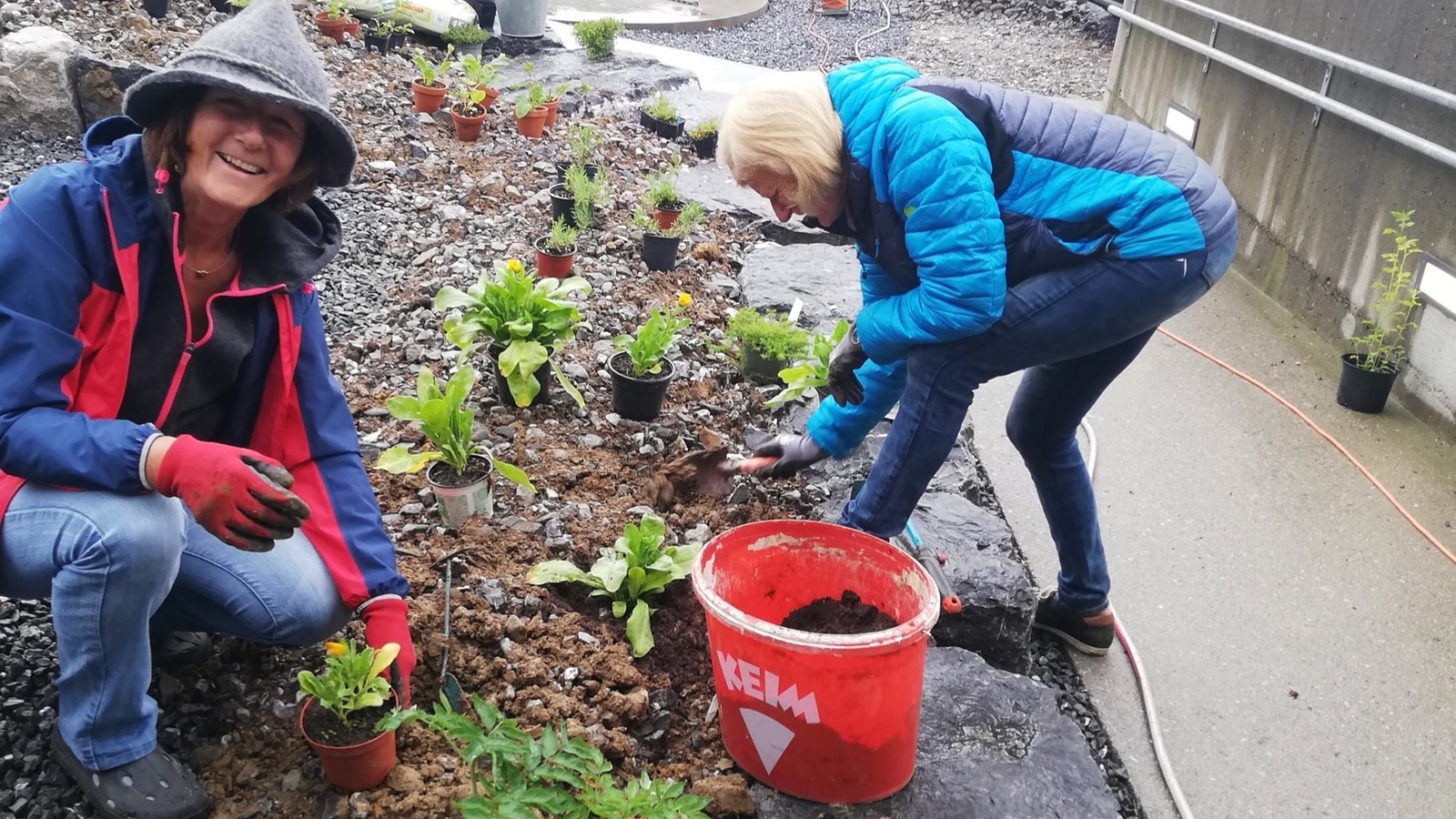 Nach dem Bepflanzen folgen im Kräutergarten die Beschilderung der Pflanzen und das Errichten einer Sitzgelegenheit.
