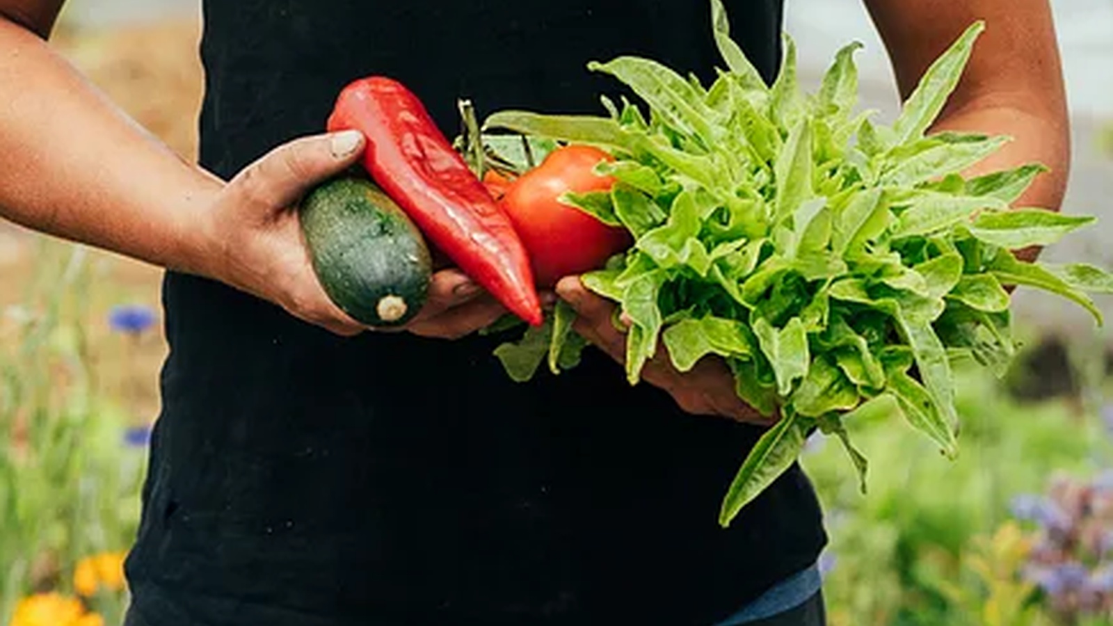 Regionaler Einkauf, Direktvermarktung und Biolandwirtschaft sind die Schwerpunkte eines dreiteiligen Beitrags zur Regionalität in Vorarlberg. Foto: Dorner Hof