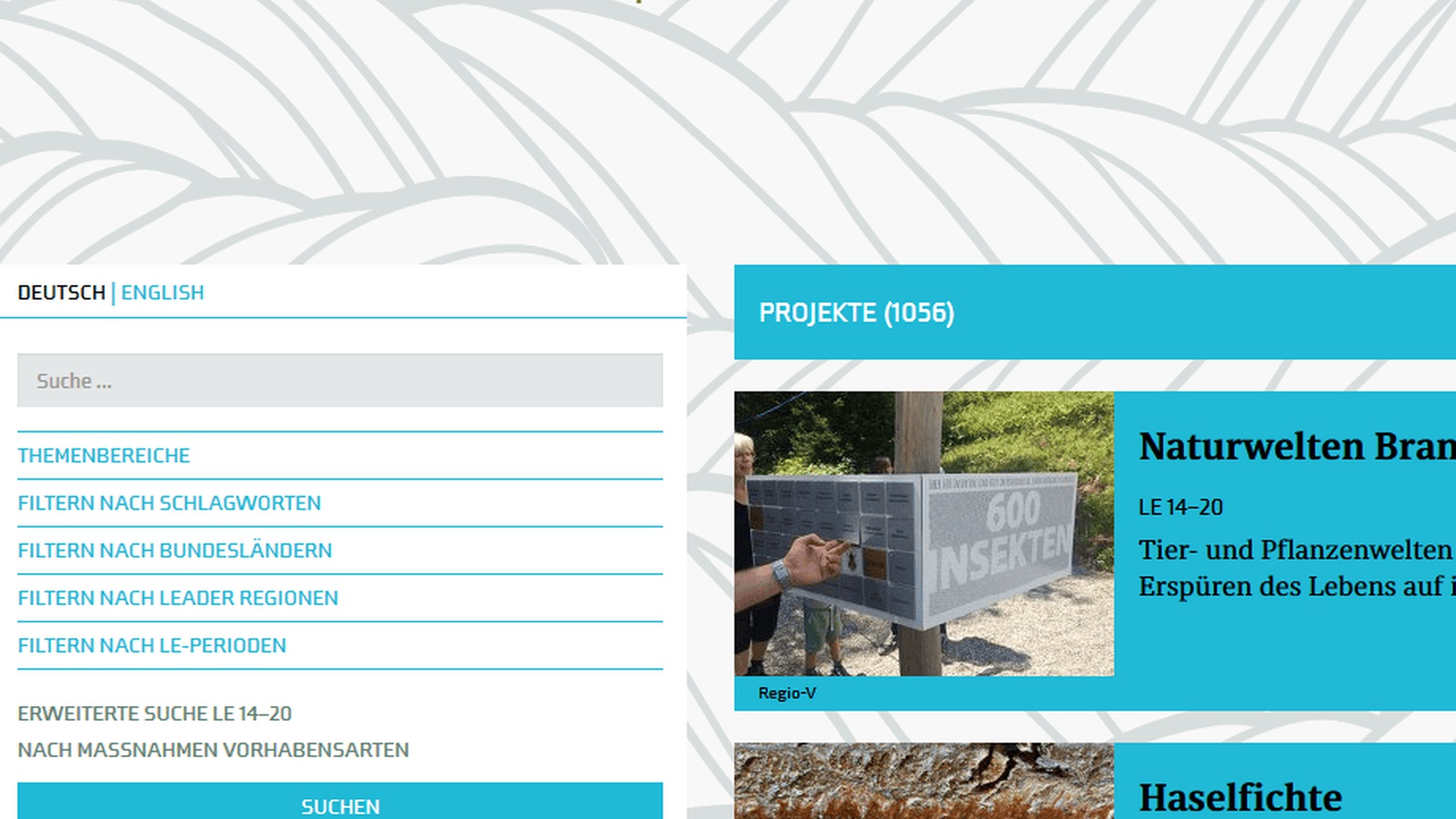 Screenshot Projektdatenbank Netzwerk Zukunftsraum Land