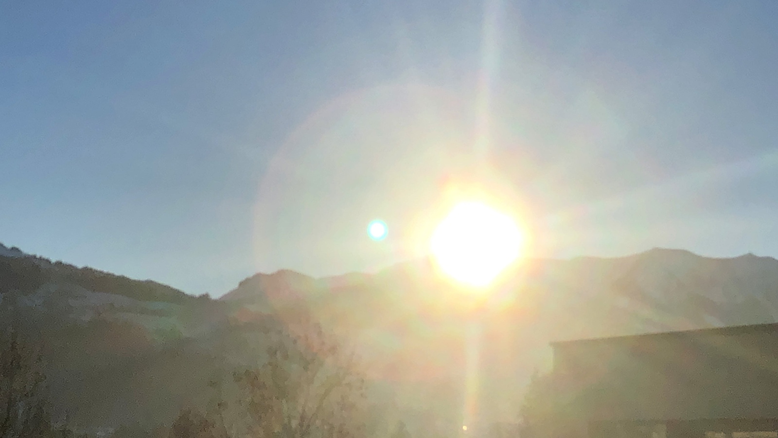 "Denn nicht der ist schöpferisch, der erfindet oder beweist, sondern der zum Werden verhilft." 