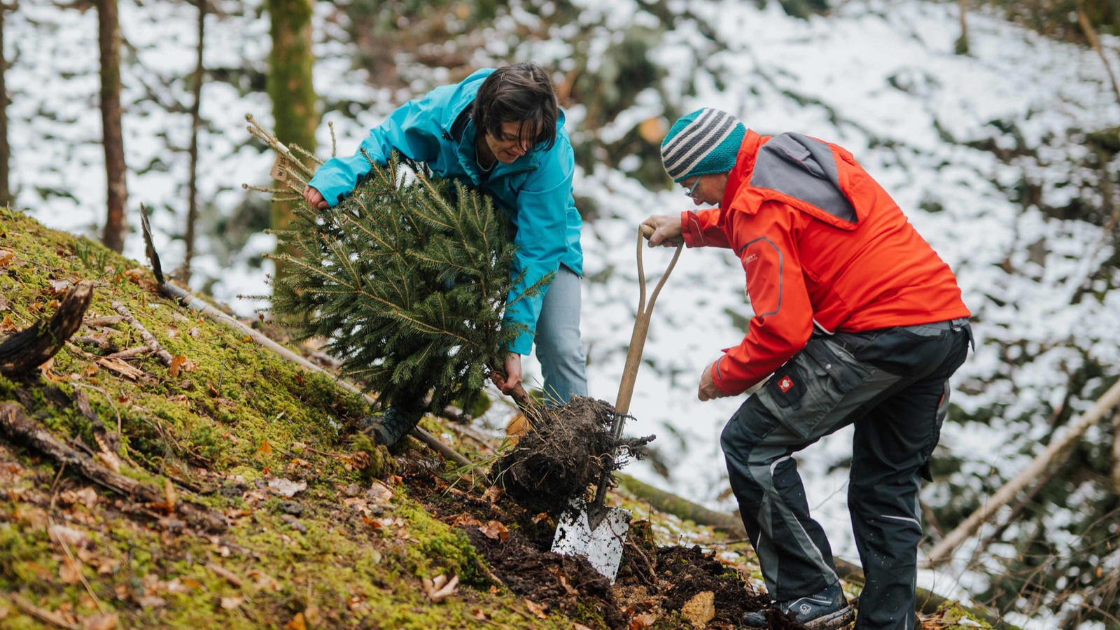 Bevor die ausgedienten Weihnachtsbäume im Wald ausgepflanzt wurden, erklärte Waldaufseher Sebastian Kolb die Gegebenheiten.