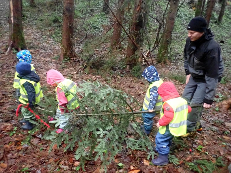 Bachspielwald Hohenweiler