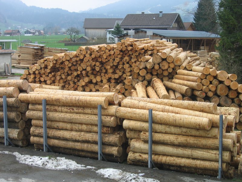 Holzkultur