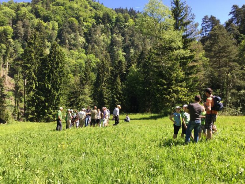Lehrbienenstand Leiblachtal