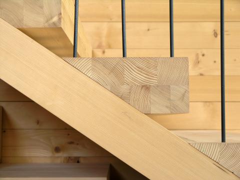 CaSCo will regionales Holz bei öffentlichen Gebäuden fördern