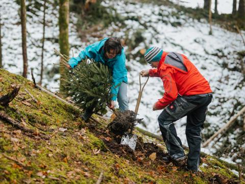 Bevor die ausgedienten Weihnachtsbäume im Wald ausgepflanzt wurden, erklärte Waldaufseher Sebastian Kolb die Gegebenheiten.