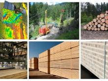 Das Holzkette-Projekt setzt sich für eine bessere Zusammenarbeit im Grenzraum Vorarlberg-Deutschland ein. Foto: Waldverband Vorarlberg