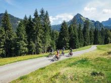 Das neue Mountainbike-Arrangement mit kulinarischen Stopps führt durch das landschaftlich reizvolle Vorsäßgebiet Schetteregg. Foto: Sebastian Stiphout - Bregenzerwald Tourismus