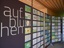 Die Ausstellung "Aufblühen" lädt ein, die Wiesenvielfalt im Großen Walsertal auf 183 von Volksschulkindern gemalten Bildern zu entdecken. 